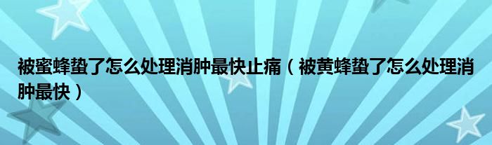 被蜜蜂蟄了怎么處理消腫最快止痛（被黃蜂蟄了怎么處理消腫最快）