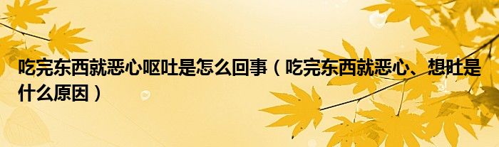 吃完東西就惡心嘔吐是怎么回事（吃完東西就惡心、想吐是什么原因）