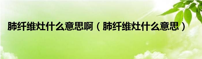 肺纖維灶什么意思?。ǚ卫w維灶什么意思）