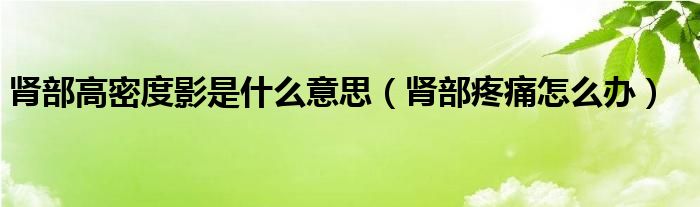 腎部高密度影是什么意思（腎部疼痛怎么辦）