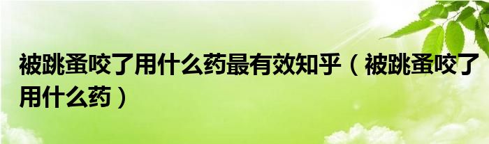 被跳蚤咬了用什么藥最有效知乎（被跳蚤咬了用什么藥）