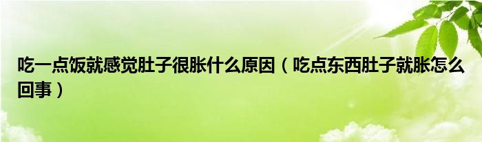 吃一點飯就感覺肚子很脹什么原因（吃點東西肚子就脹怎么回事）