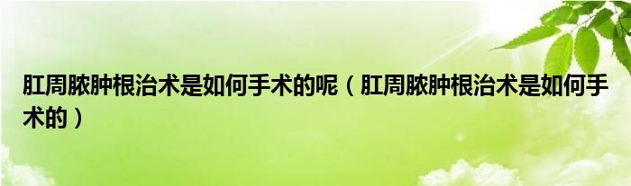 肛周膿腫根治術(shù)是如何手術(shù)的呢（肛周膿腫根治術(shù)是如何手術(shù)的）