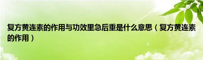 復(fù)方黃連素的作用與功效里急后重是什么意思（復(fù)方黃連素的作用）