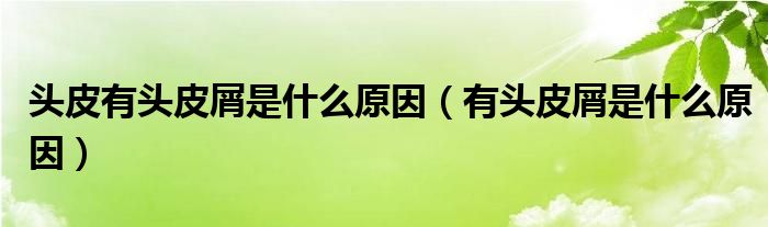 頭皮有頭皮屑是什么原因（有頭皮屑是什么原因）