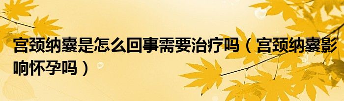 宮頸納囊是怎么回事需要治療嗎（宮頸納囊影響懷孕嗎）