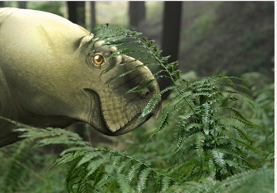 在波蘭發(fā)現(xiàn)的新三疊紀(jì) Dicynodont 物種