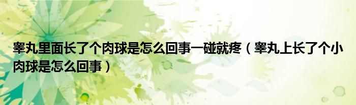 睪丸里面長了個(gè)肉球是怎么回事一碰就疼（睪丸上長了個(gè)小肉球是怎么回事）