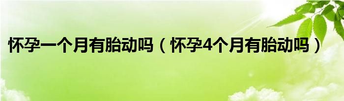 懷孕一個(gè)月有胎動(dòng)嗎（懷孕4個(gè)月有胎動(dòng)嗎）