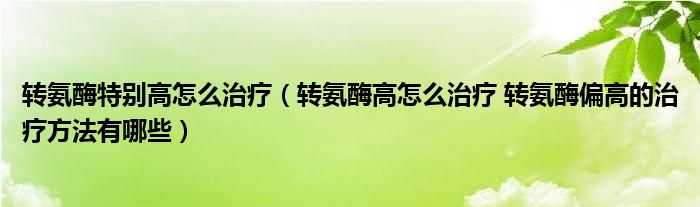 轉(zhuǎn)氨酶特別高怎么治療（轉(zhuǎn)氨酶高怎么治療 轉(zhuǎn)氨酶偏高的治療方法有哪些）