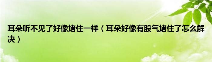 耳朵聽(tīng)不見(jiàn)了好像堵住一樣（耳朵好像有股氣堵住了怎么解決）