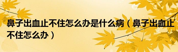 鼻子出血止不住怎么辦是什么?。ū亲映鲅共蛔≡趺崔k）