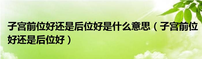 子宮前位好還是后位好是什么意思（子宮前位好還是后位好）