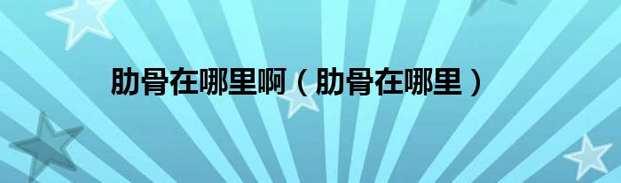 肋骨在哪里?。ɡ吖窃谀睦铮?class='thumb lazy' /></a>
		    <header>
		<h2><a  href=