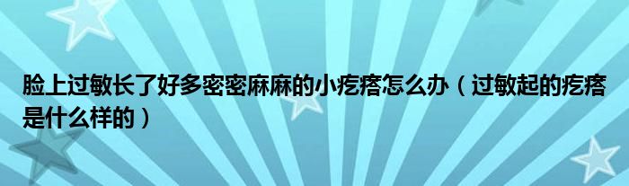 臉上過(guò)敏長(zhǎng)了好多密密麻麻的小疙瘩怎么辦（過(guò)敏起的疙瘩是什么樣的）