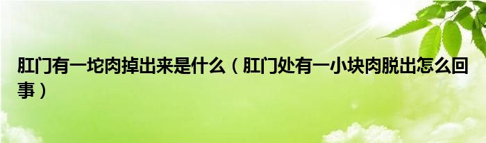 肛門(mén)有一坨肉掉出來(lái)是什么（肛門(mén)處有一小塊肉脫出怎么回事）