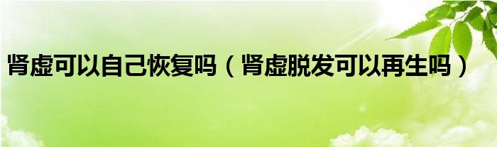 腎虛可以自己恢復(fù)嗎（腎虛脫發(fā)可以再生嗎）