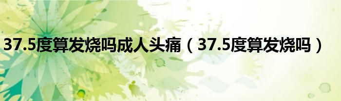 37.5度算發(fā)燒嗎成人頭痛（37.5度算發(fā)燒嗎）