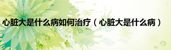 心臟大是什么病如何治療（心臟大是什么?。?class='thumb lazy' /></a>
		    <header>
		<h2><a  href=