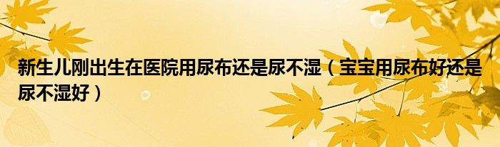 新生兒剛出生在醫(yī)院用尿布還是尿不濕（寶寶用尿布好還是尿不濕好）