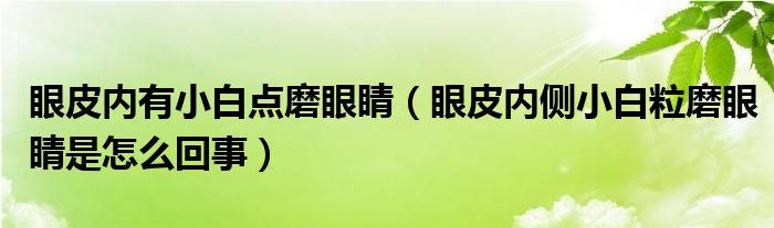 眼皮內(nèi)有小白點磨眼睛（眼皮內(nèi)側(cè)小白粒磨眼睛是怎么回事）