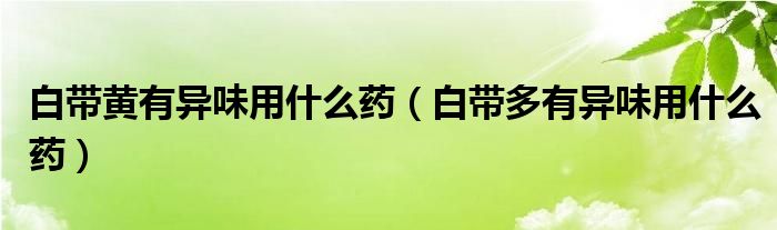 白帶黃有異味用什么藥（白帶多有異味用什么藥）