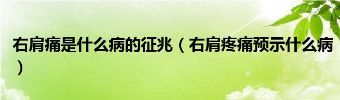 右肩痛是什么病的征兆（右肩疼痛預(yù)示什么?。?class='thumb lazy' /></a>
		    <header>
		<h2><a  href=