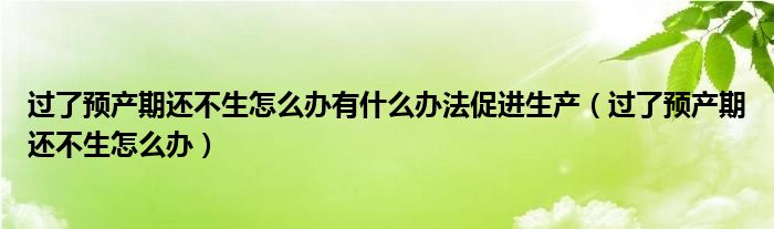 過了預(yù)產(chǎn)期還不生怎么辦有什么辦法促進生產(chǎn)（過了預(yù)產(chǎn)期還不生怎么辦）