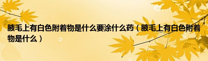 腋毛上有白色附著物是什么要涂什么藥（腋毛上有白色附著物是什么）