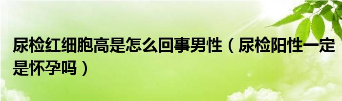 尿檢紅細(xì)胞高是怎么回事男性（尿檢陽(yáng)性一定是懷孕嗎）