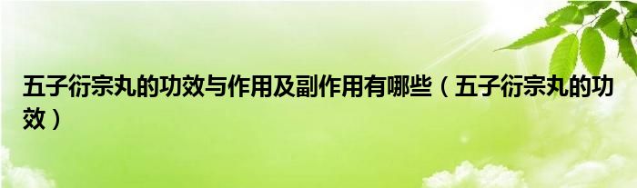 五子衍宗丸的功效與作用及副作用有哪些（五子衍宗丸的功效）