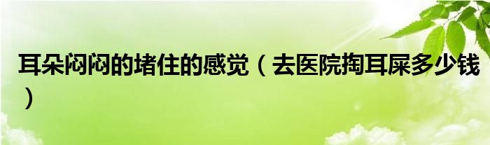 耳朵悶悶的堵住的感覺（去醫(yī)院掏耳屎多少錢）