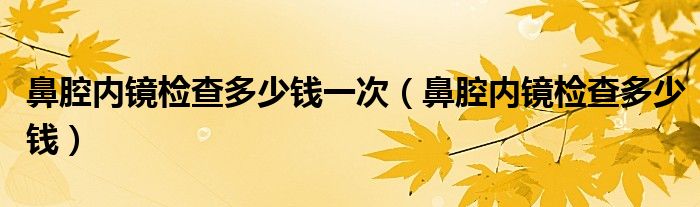 鼻腔內(nèi)鏡檢查多少錢一次（鼻腔內(nèi)鏡檢查多少錢）