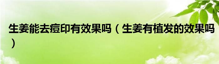 生姜能去痘印有效果嗎（生姜有植發(fā)的效果嗎）