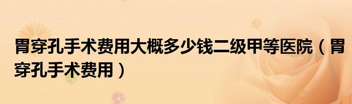 胃穿孔手術(shù)費(fèi)用大概多少錢二級(jí)甲等醫(yī)院（胃穿孔手術(shù)費(fèi)用）