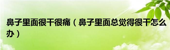 鼻子里面很干很痛（鼻子里面總覺(jué)得很干怎么辦）