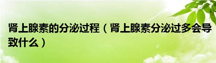 腎上腺素的分泌過程（腎上腺素分泌過多會導(dǎo)致什么）