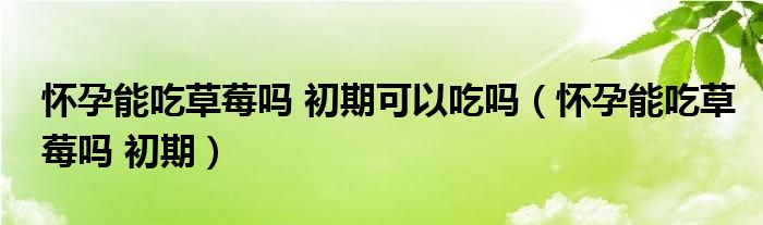 懷孕能吃草莓嗎 初期可以吃嗎（懷孕能吃草莓嗎 初期）