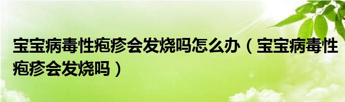 寶寶病毒性皰疹會發(fā)燒嗎怎么辦（寶寶病毒性皰疹會發(fā)燒嗎）