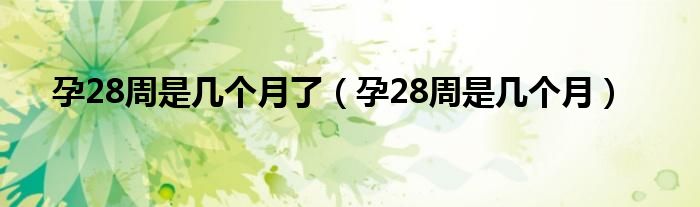 孕28周是幾個月了（孕28周是幾個月）