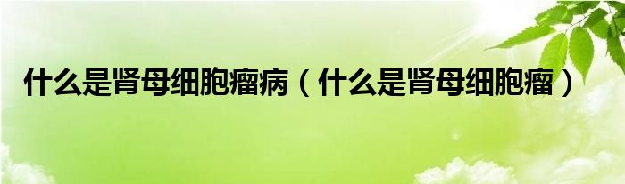 什么是腎母細(xì)胞瘤?。ㄊ裁词悄I母細(xì)胞瘤）