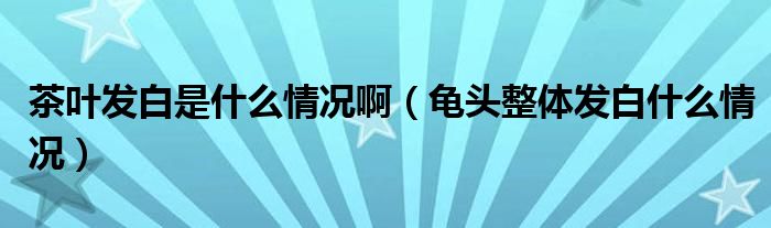 茶葉發(fā)白是什么情況啊（龜頭整體發(fā)白什么情況）