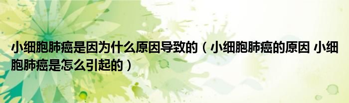 小細胞肺癌是因為什么原因?qū)е碌模ㄐ〖毎伟┑脑?小細胞肺癌是怎么引起的）