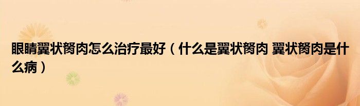 眼睛翼狀胬肉怎么治療最好（什么是翼狀胬肉 翼狀胬肉是什么?。?class='thumb lazy' /></a>
		    <header>
		<h2><a  href=