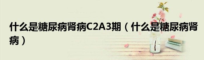 什么是糖尿病腎病C2A3期（什么是糖尿病腎?。?class='thumb lazy' /></a>
		    <header>
		<h2><a  href=