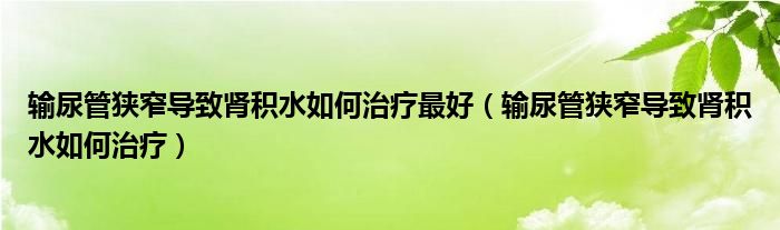 輸尿管狹窄導致腎積水如何治療最好（輸尿管狹窄導致腎積水如何治療）