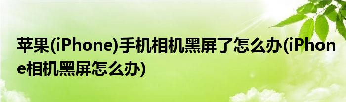 蘋果(iPhone)手機(jī)相機(jī)黑屏了怎么辦(iPhone相機(jī)黑屏怎么辦)