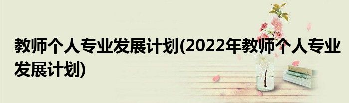 教師個人專業(yè)發(fā)展計劃(2022年教師個人專業(yè)發(fā)展計劃)