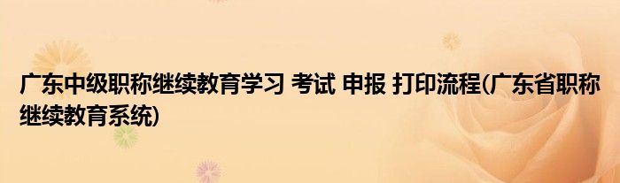 廣東中級(jí)職稱(chēng)繼續(xù)教育學(xué)習(xí) 考試 申報(bào) 打印流程(廣東省職稱(chēng)繼續(xù)教育系統(tǒng))