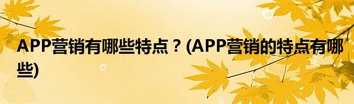 APP營銷有哪些特點(diǎn)？(APP營銷的特點(diǎn)有哪些)